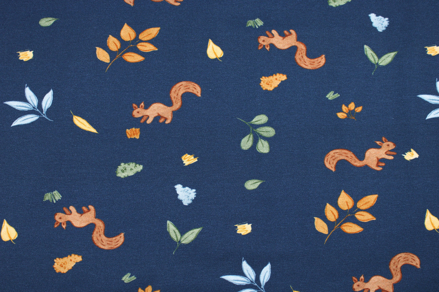 Dunkelblauer Baumwolljersey Forest Friends mit Eichhörnchen Detailbild