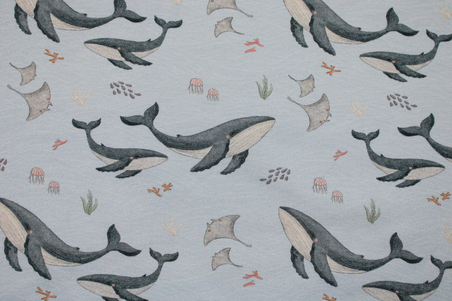 Weicher Baumwolljersey mit Walfiaschen und Quallen in graublau Detailbild