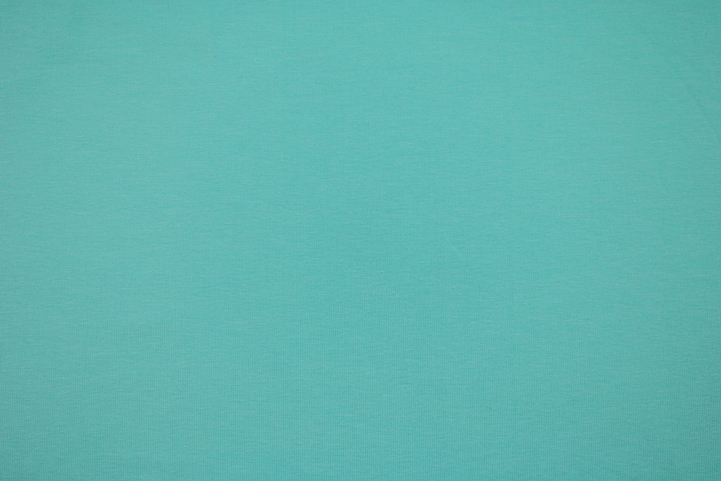 Baumwolljersey Vanessa in uni mint Detailbild