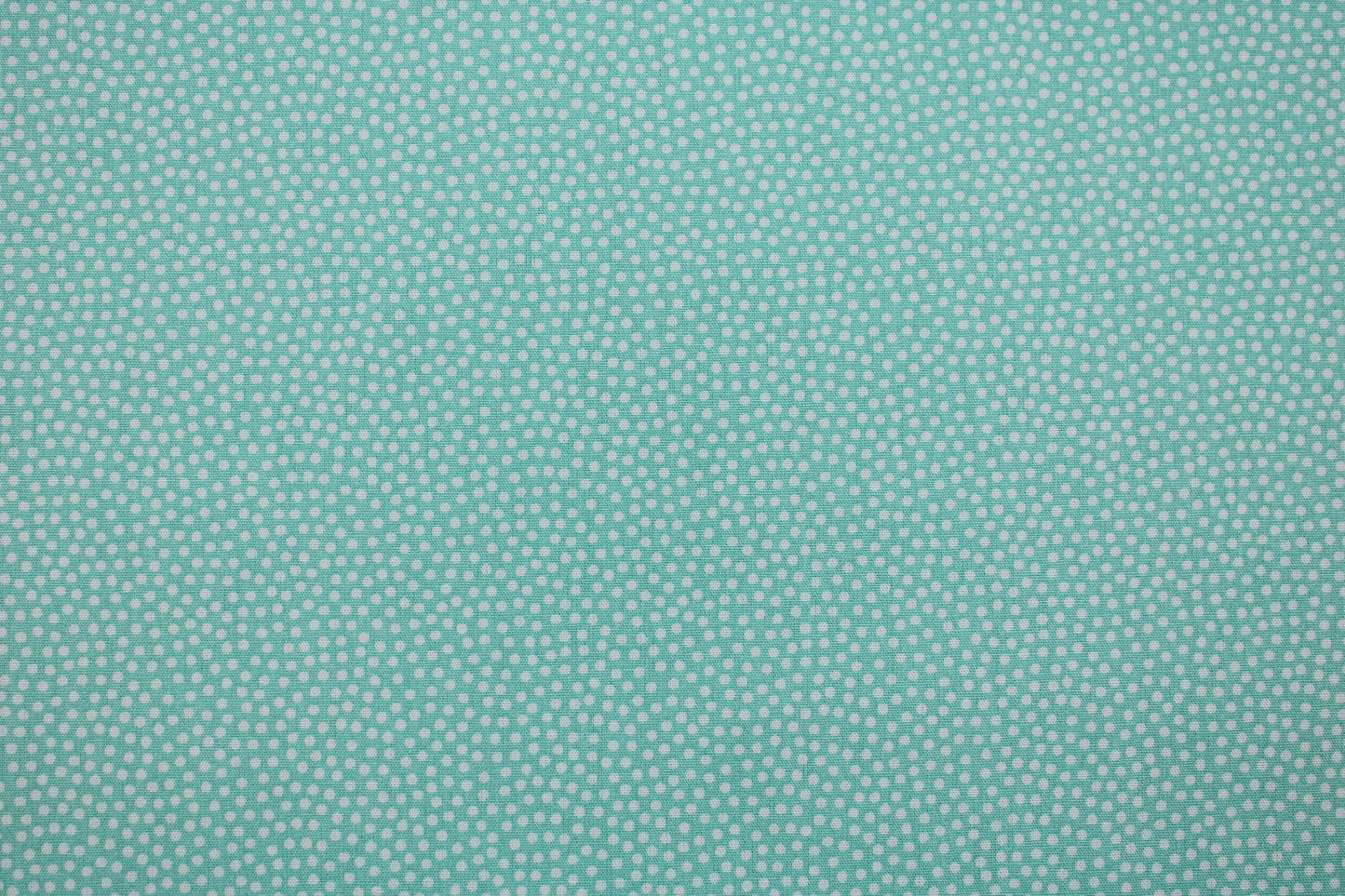Baumwollstoff Dotty mit Pünktchen in mint Detailbild
