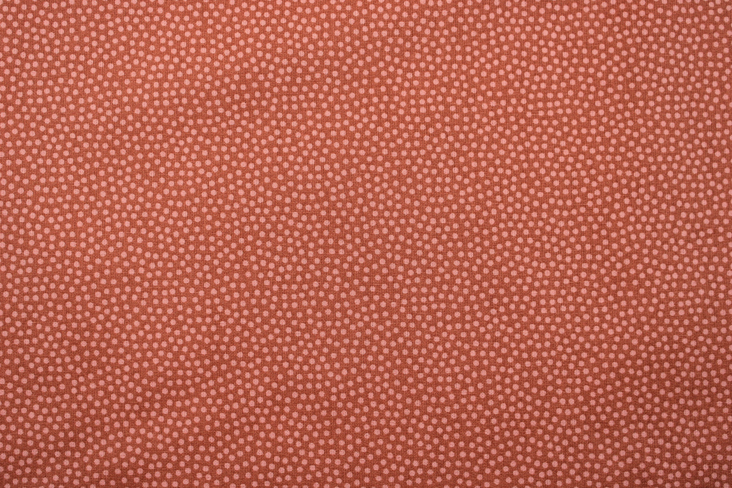 Baumwollstoff Dotty mit Pünktchen in terracotta Detailbild
