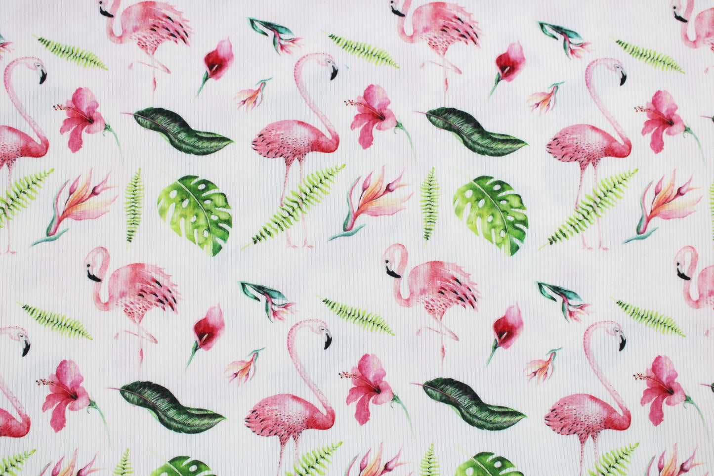 Weißer Rippjersey Mia mit Flamingos Detailbild