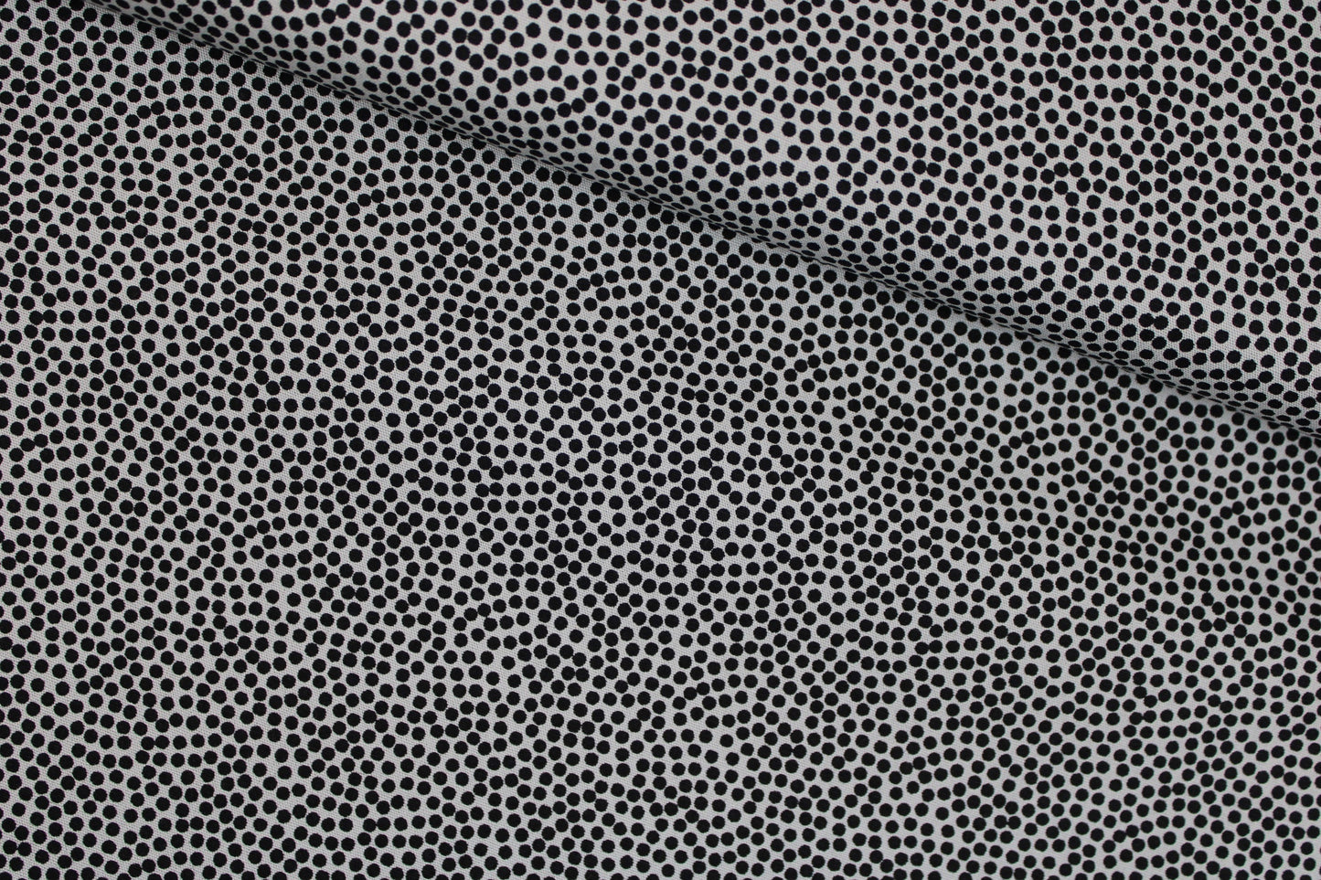 Baumwollstoff Dotty mit kleinen Pünktchen in schwarz auf Hellgrau quer