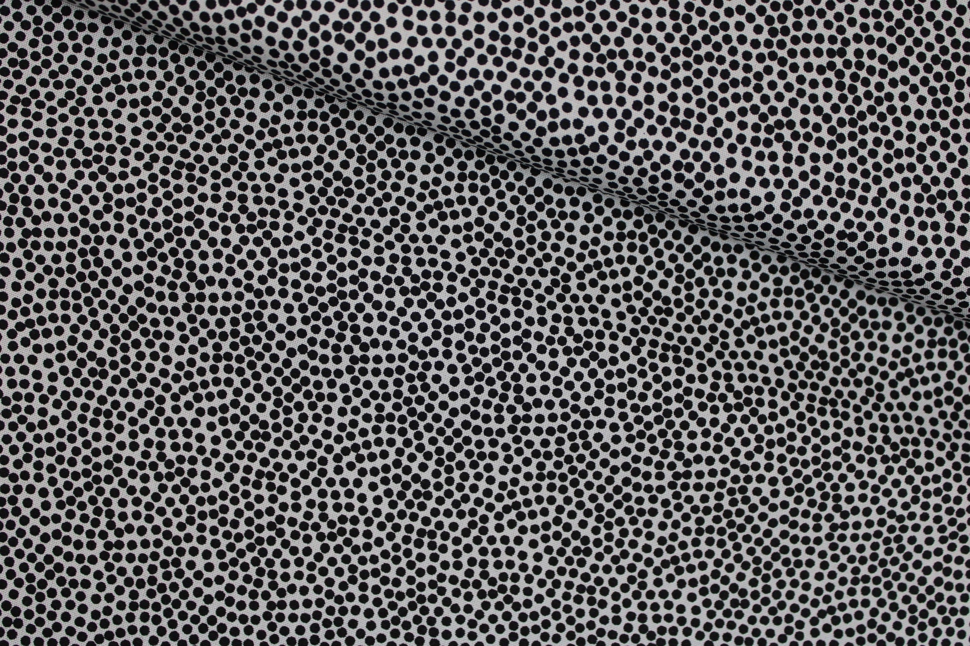Baumwollstoff Dotty mit kleinen Pünktchen in schwarz auf Hellgrau quer