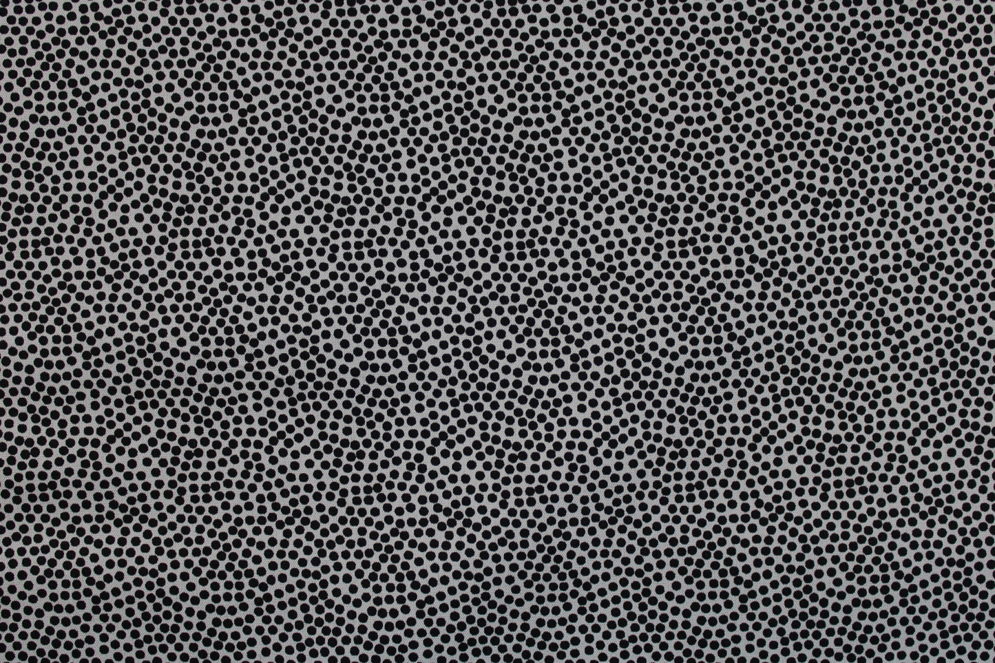 Baumwollstoff Dotty mit kleinen Pünktchen in schwarz auf Hellgrau Detailbild