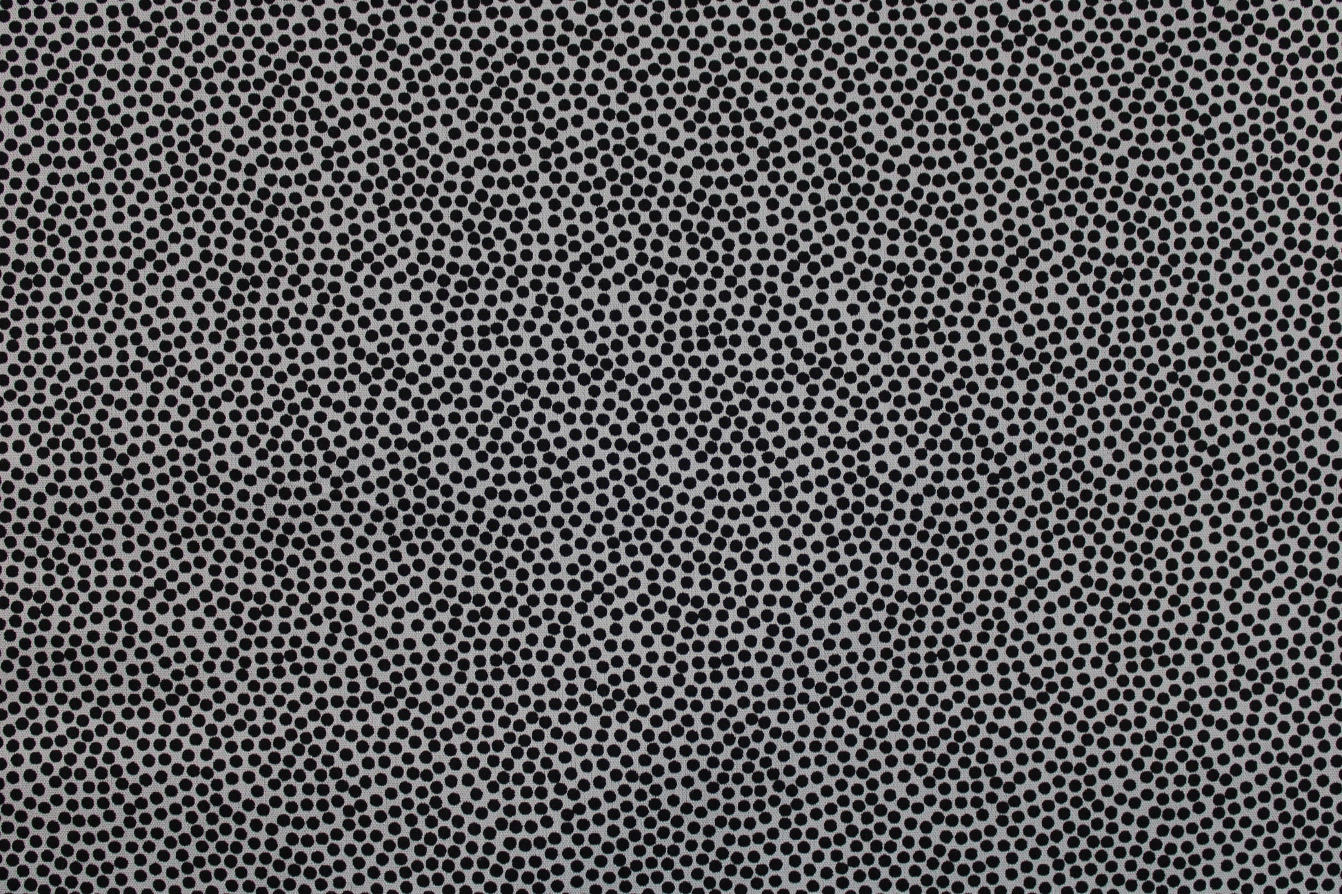 Baumwollstoff Dotty mit kleinen Pünktchen in schwarz auf Hellgrau Detailbild