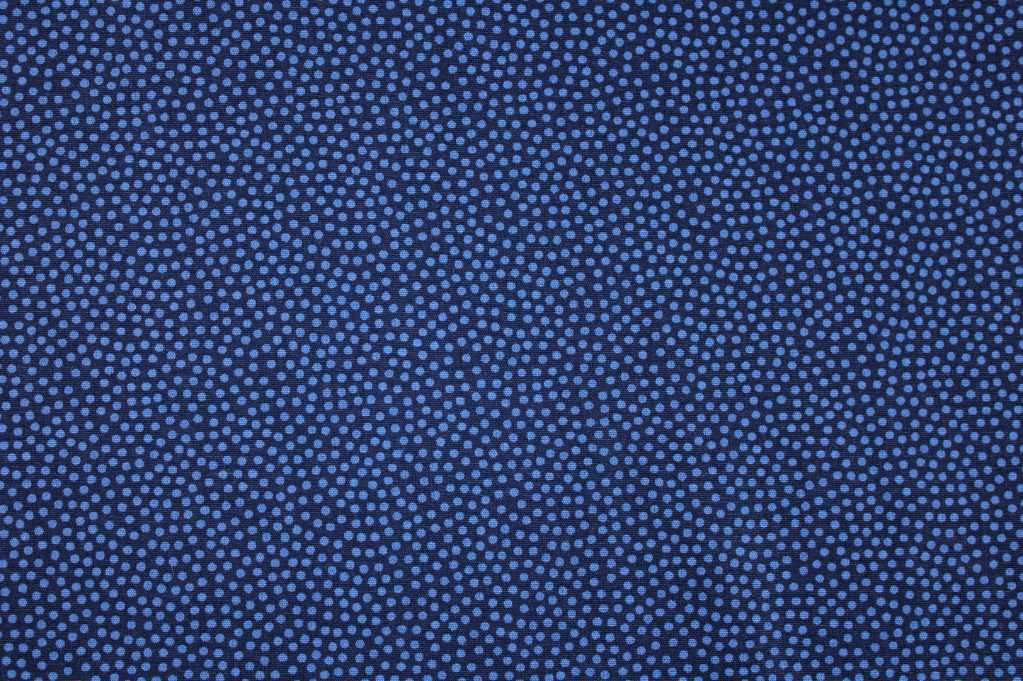 Baumwollstoff Dotty mit kleinen Pünktchen in Blau Detailbild