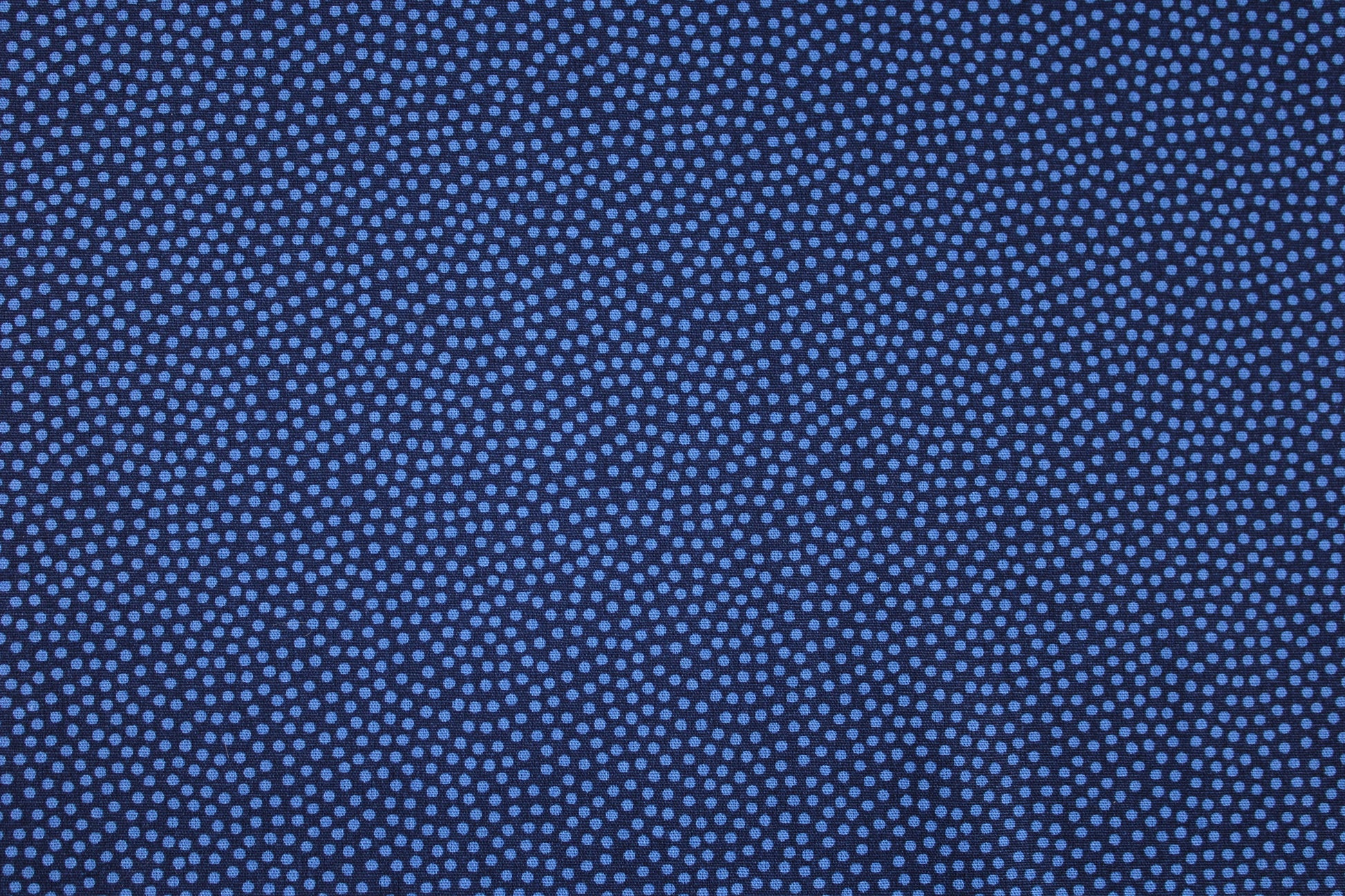 Baumwollstoff Dotty mit kleinen Pünktchen in Blau Detailbild