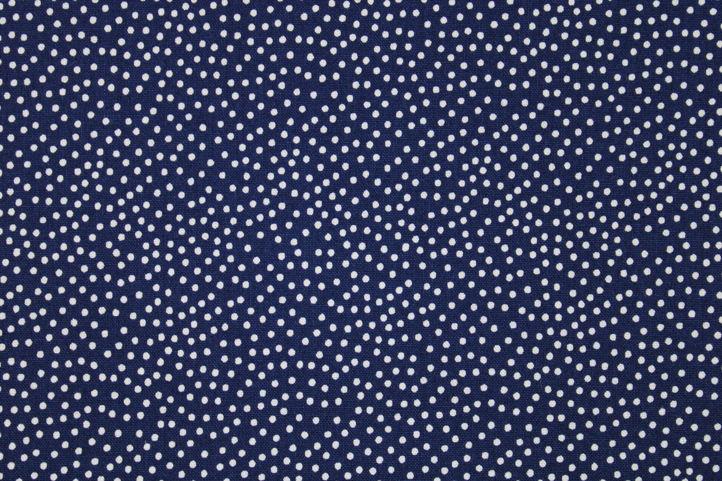 Baumwollstoff in Dunkelblau mit weißen Pünktchen aus der Reihe Garden Pindots Detailbild
