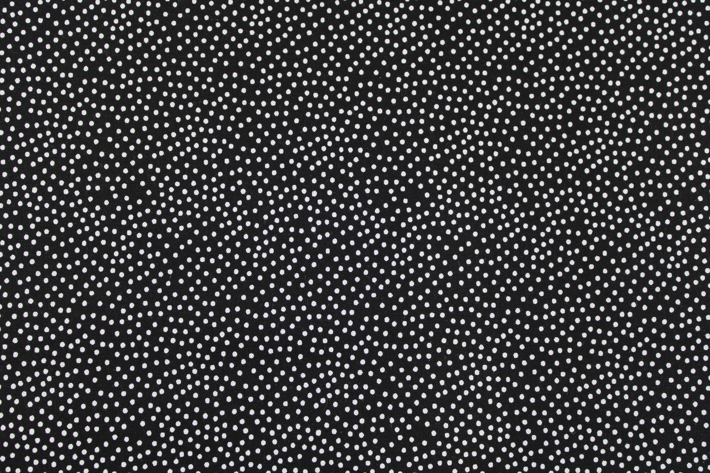 Schwarzer Baumwollstoff Garden Pindot mit kleinen weißen Pünktchen Detailbild