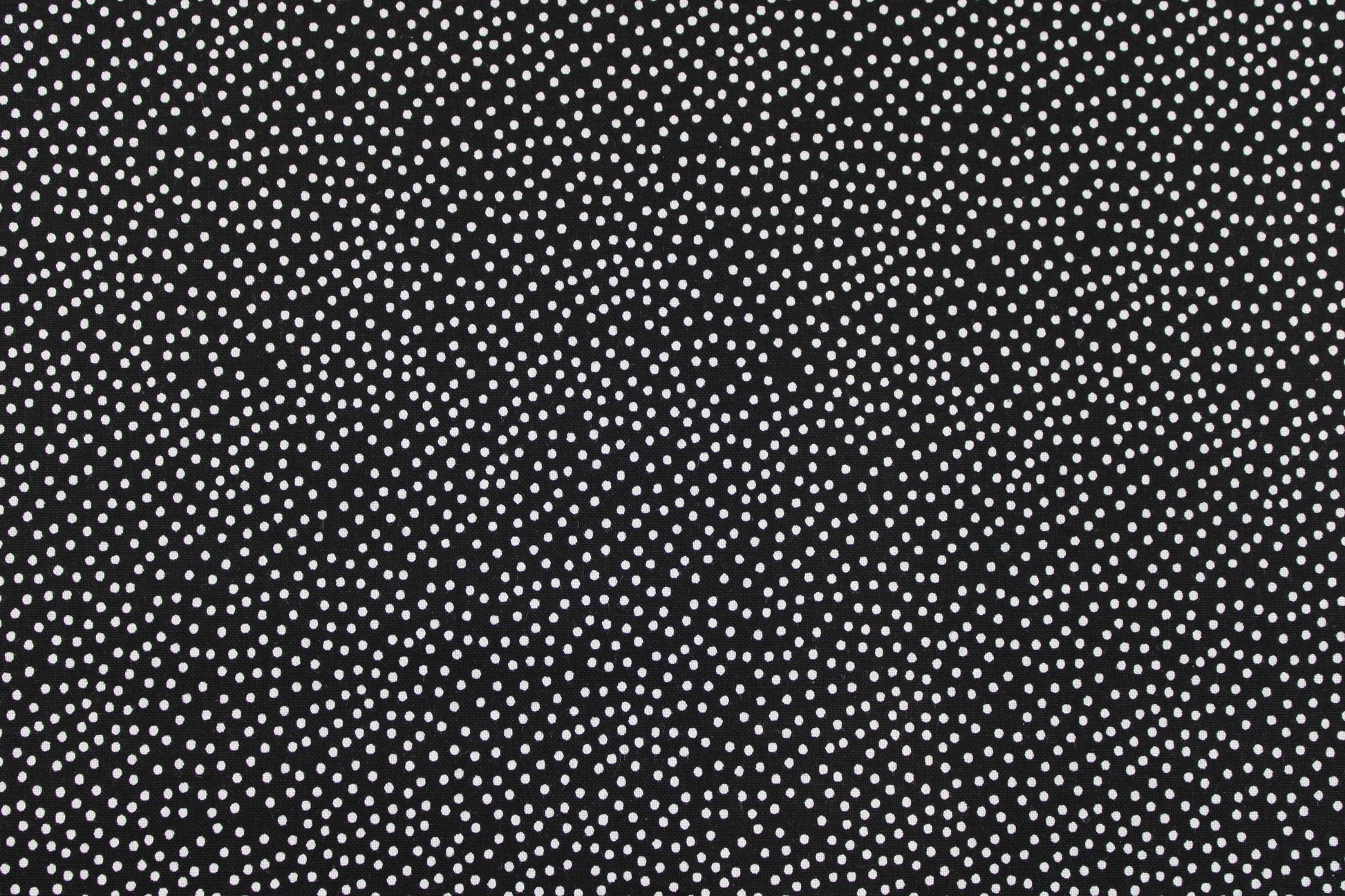 Schwarzer Baumwollstoff Garden Pindot mit kleinen weißen Pünktchen Detailbild