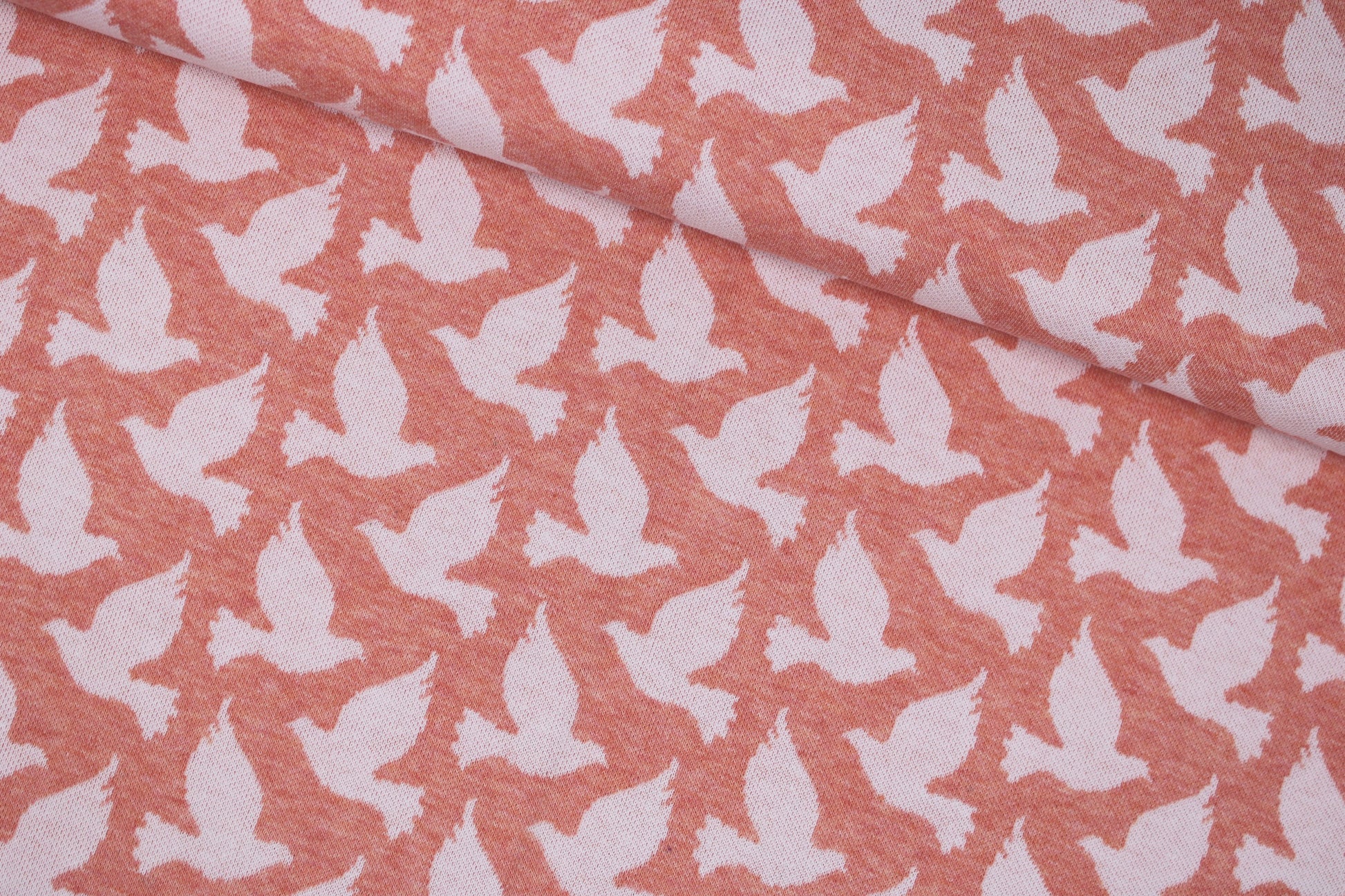 Jacquardjersey Tender Kiss Doves Fly von Albstoffe mit weißen Tauben quer