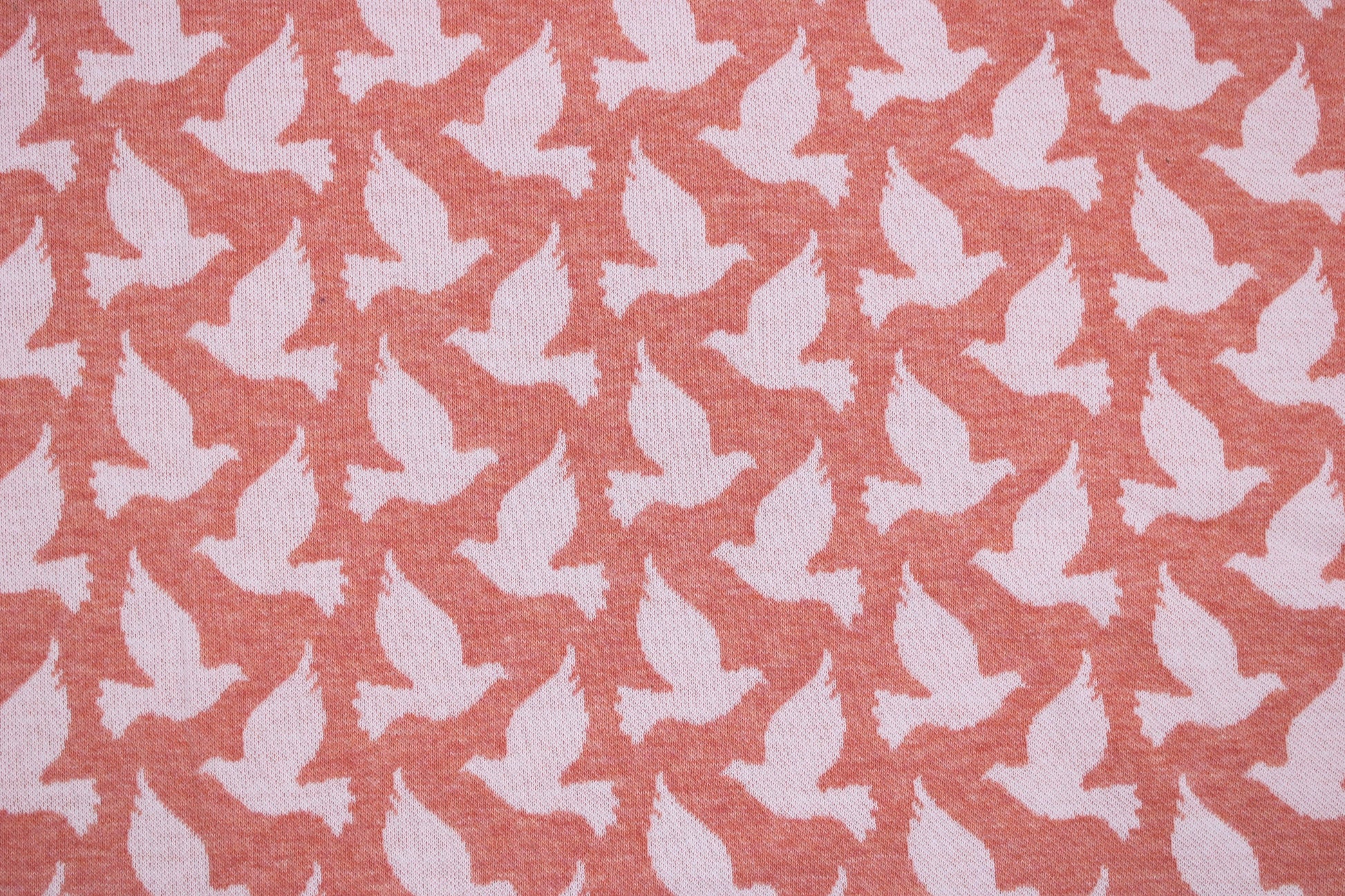 Jacquardjersey Tender Kiss Doves Fly von Albstoffe mit weißen Tauben Detailbild